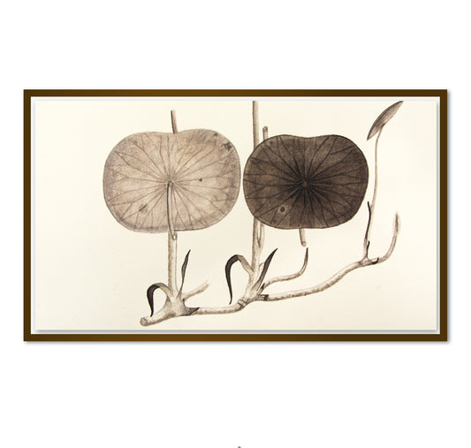 Melanie Smith, Animación Axolotl No.1, 2025