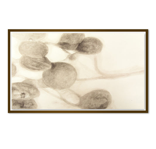 Melanie Smith, Animación Axolotl No.2, 2025