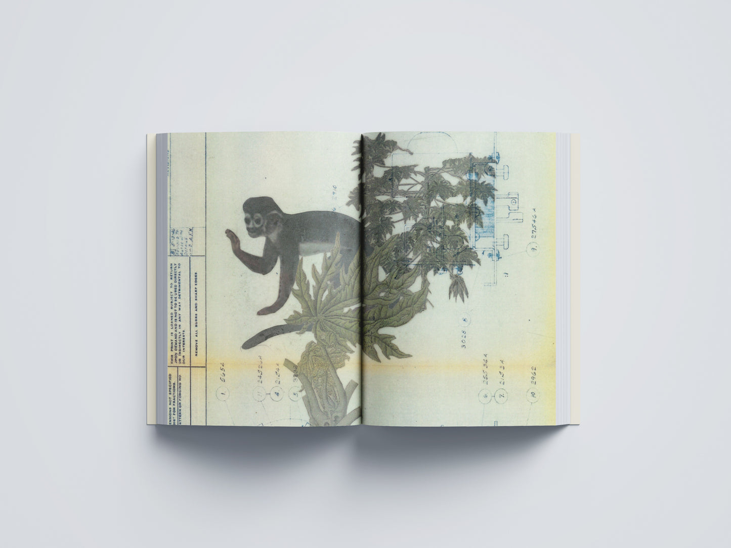 PREVENTA: Melanie Smith: Palimpsestos intermediales