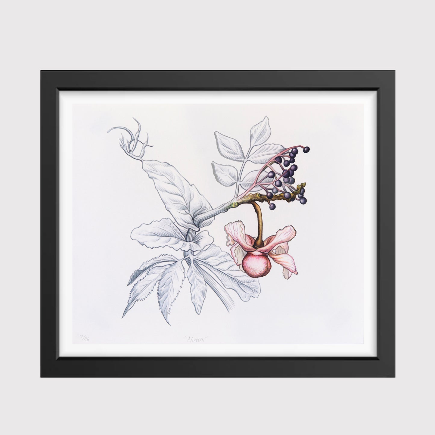 Dulce Chacón, Nibali (Vergüenza), 2022.