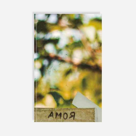 Roma 13-24 de Daniela Bojórquez Vértiz y Verónica Gerber Bicecci