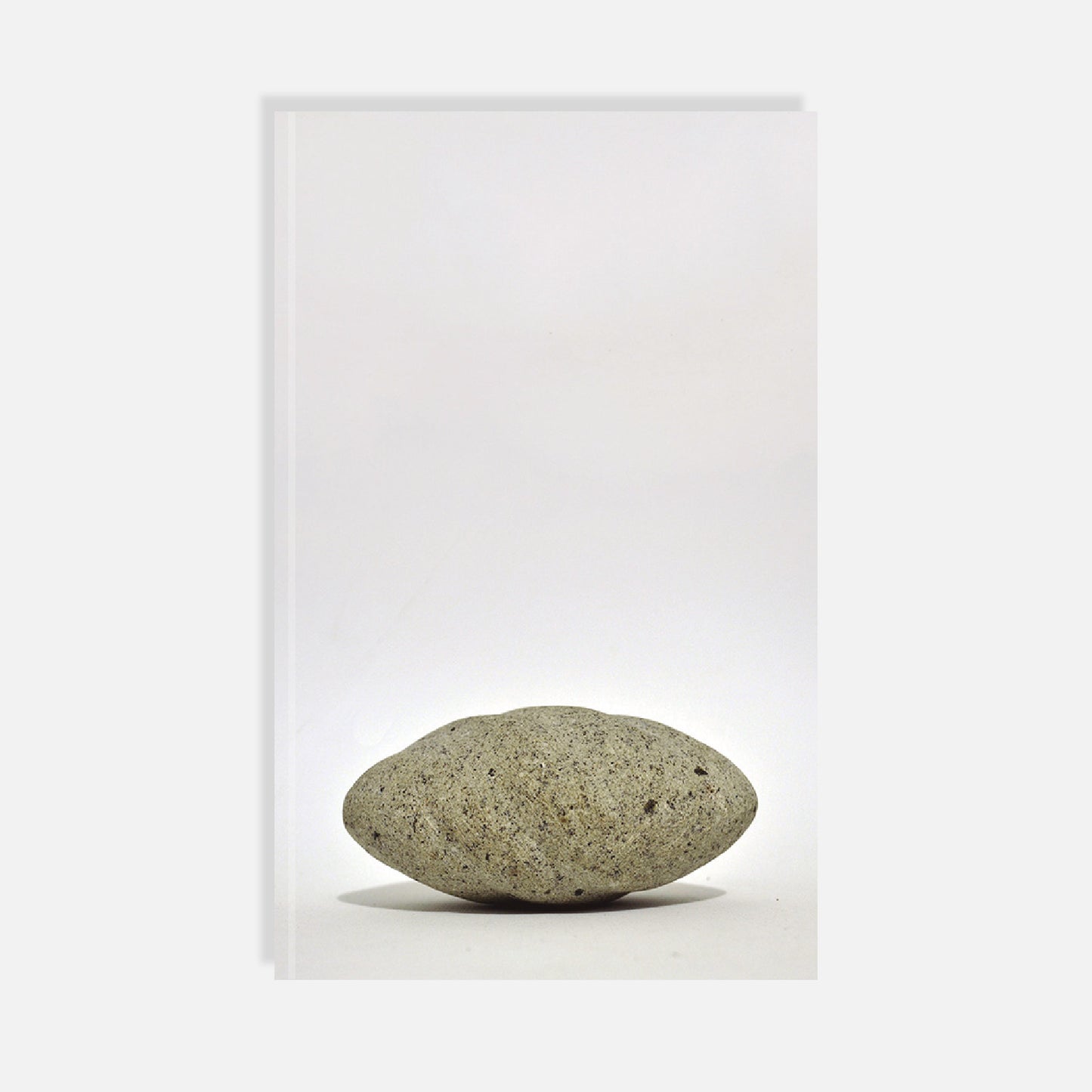 La piedra perfecta de Antonio Bravo Avendaño