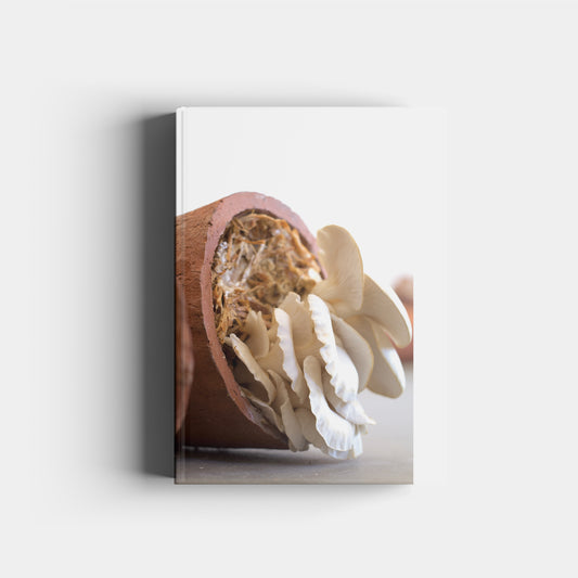 El futuro es fungi de Paola De Anda