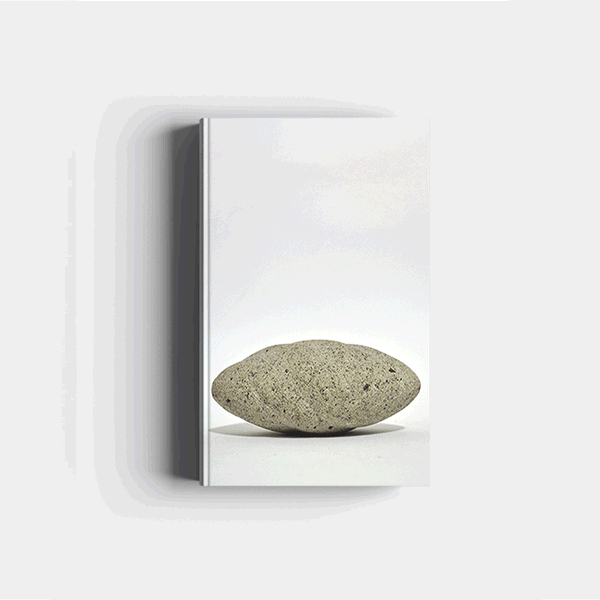 La piedra perfecta de Antonio Bravo Avendaño