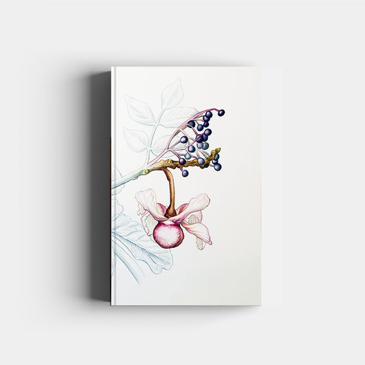 Sustancias vegetales de Dulce Chacón