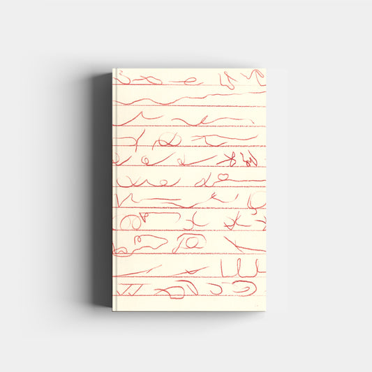 Una práctica sin nombre de Rita Ponce de León, Joelle Gruenberg, Carola Robles y Mariana De Los Ríos