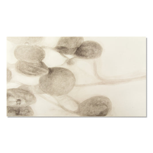 Melanie Smith, Animación Axolotl No.2, 2025