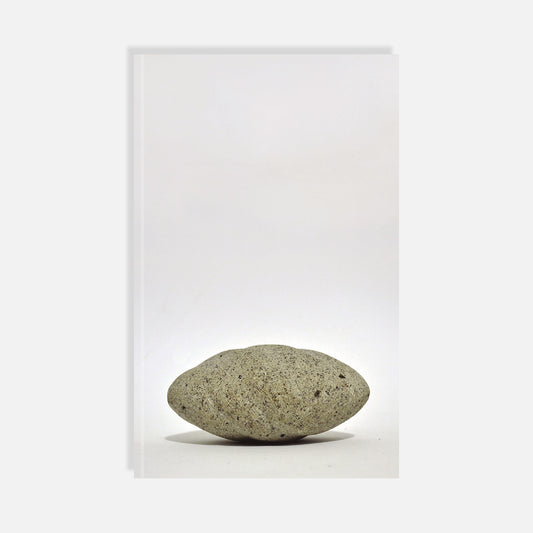 La piedra perfecta de Antonio Bravo Avendaño